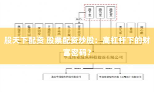 股天下配资 股票配资炒股:高杠杆下的财富密码?